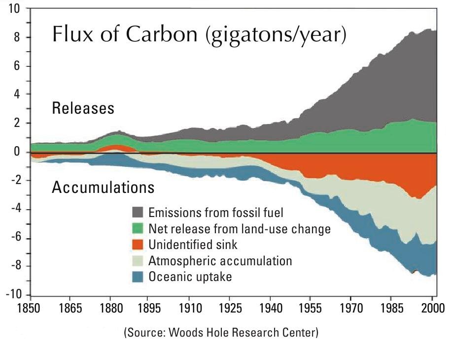 carbon_flux